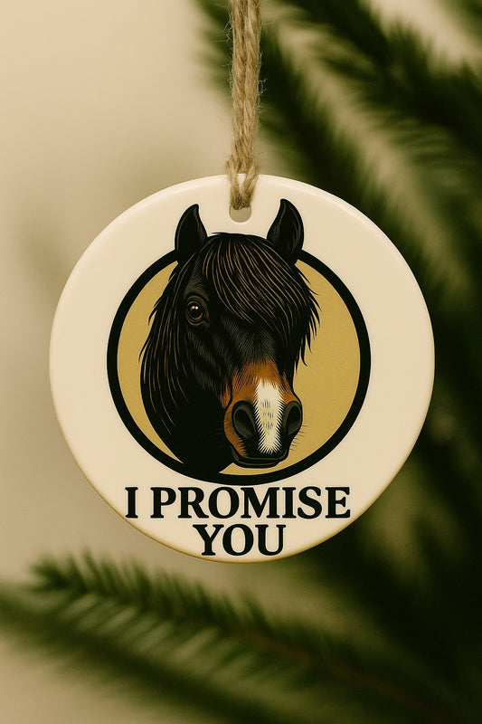 "I PROMISE YOU"- CHANCE- ORNAMENT