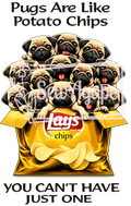 Pugs are like chips