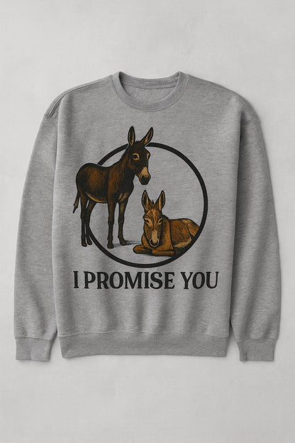 "I PROMISE YOU"- THE DONKEYS- SWEATSHIRT