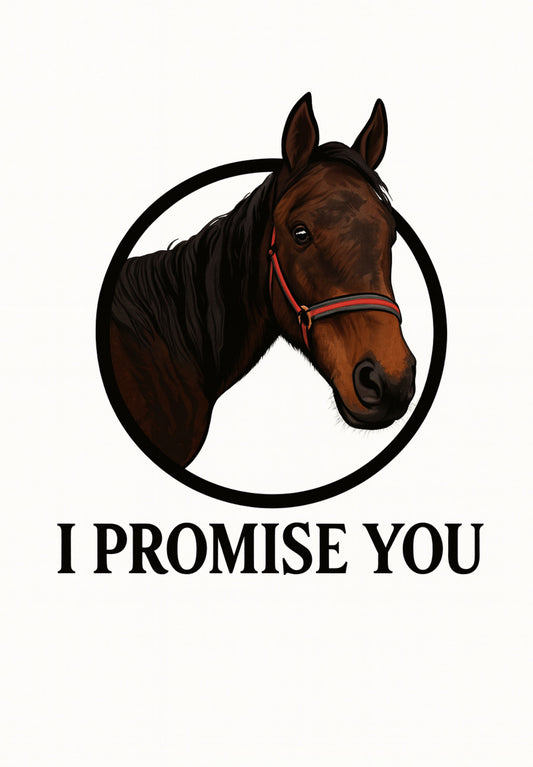 "I PROMISE YOU"- SPIRE- SWEATSHIRT