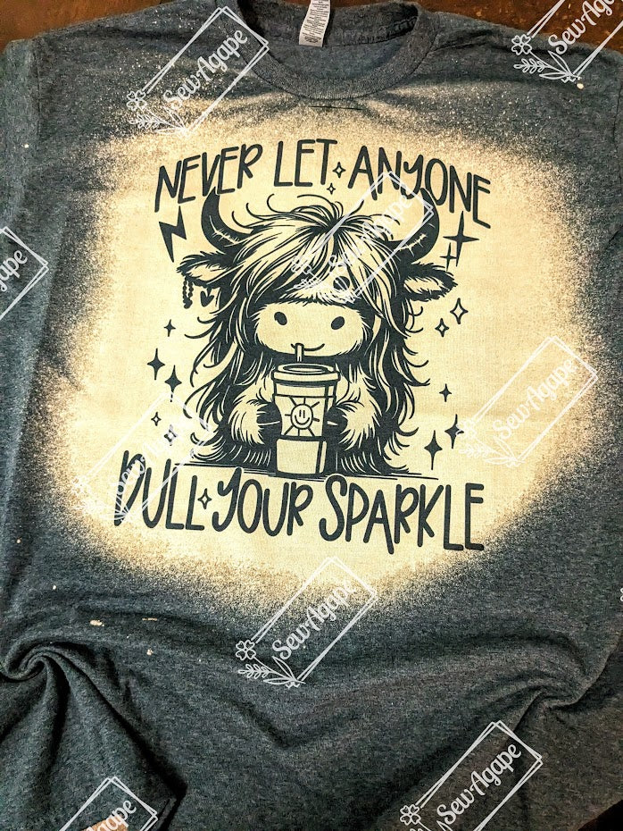 Never Let Anyone Dull Your Sparkle