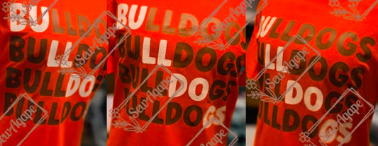 Stacked Bulldog Hoodie
